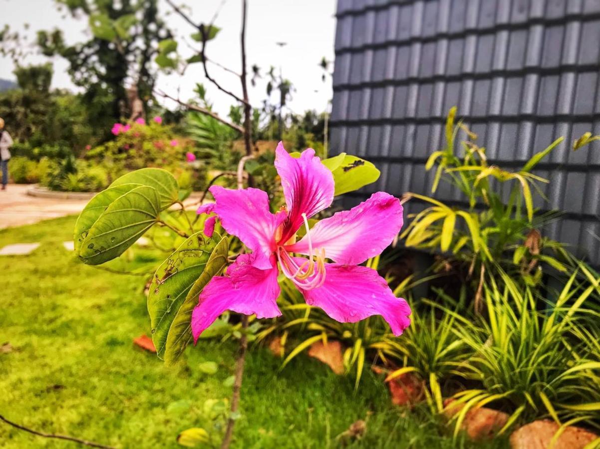 Kampot Tropical Village Екстериор снимка